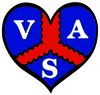 vasgbi vasgbi
